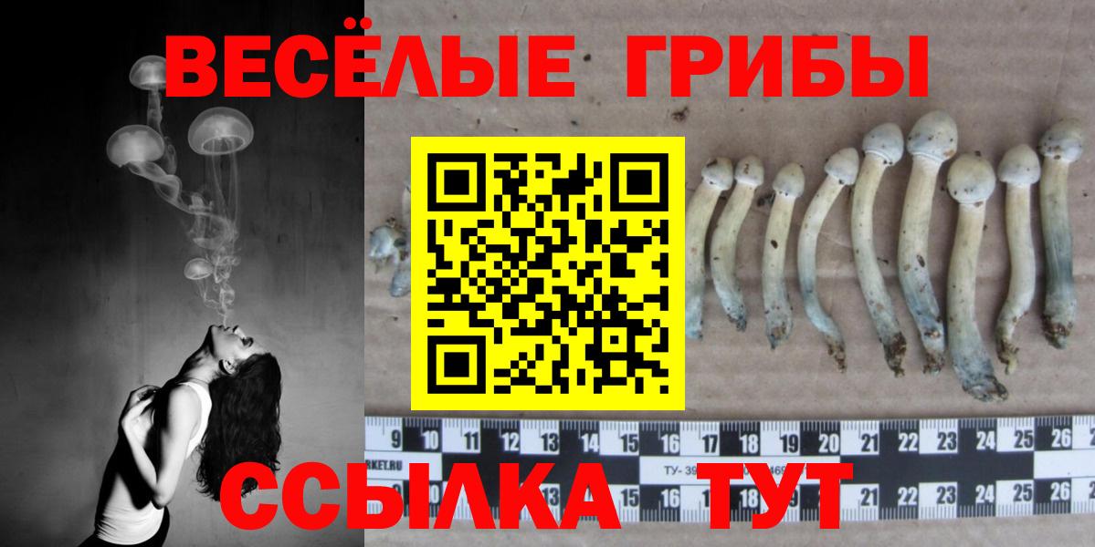 Псилоцибиновые грибы GOLDEN TEACHER Магадан